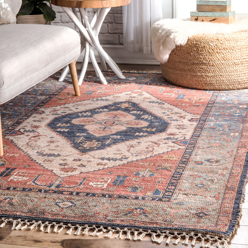 Shamus Traditional Distressed Medallion Flatweave Rust/Blue/Brown Rug, Rectangle 9' x 12'
