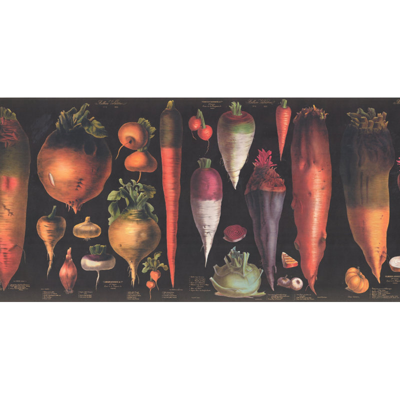 Bordure de papier peint Mansell, Noir, L 15 pi x l 12 po