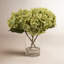 Hydrangea Floral Arrangement in Glass Vase