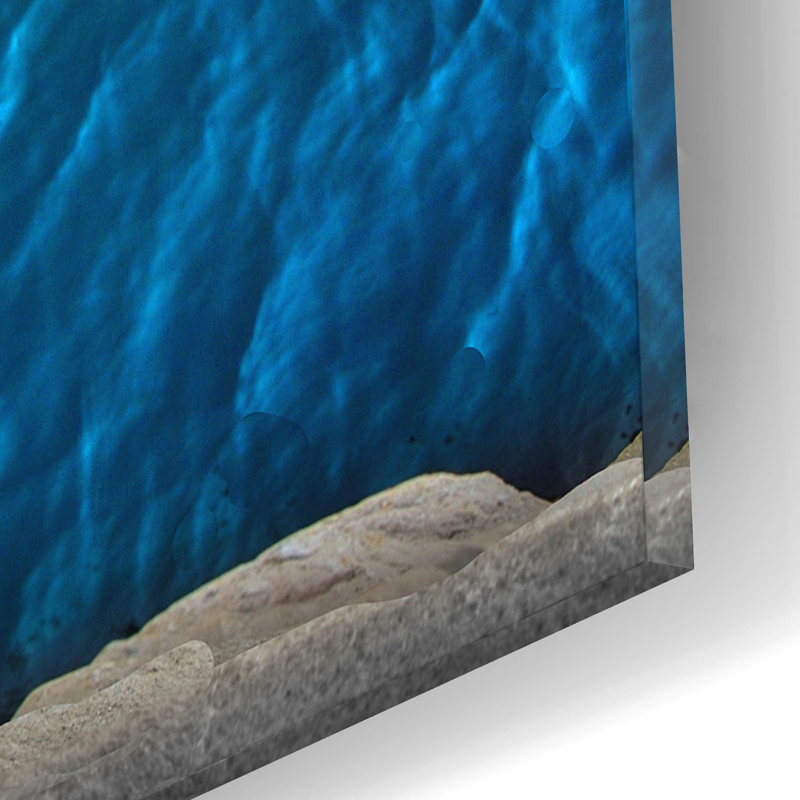 "Échelle de mer" par Verne Varona, H 12 po x l 16 po x P 0,13 po