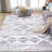 Rectangle Lataisha Geometric Machine Woven Microfiber Area Rug in Gray/White-220250225