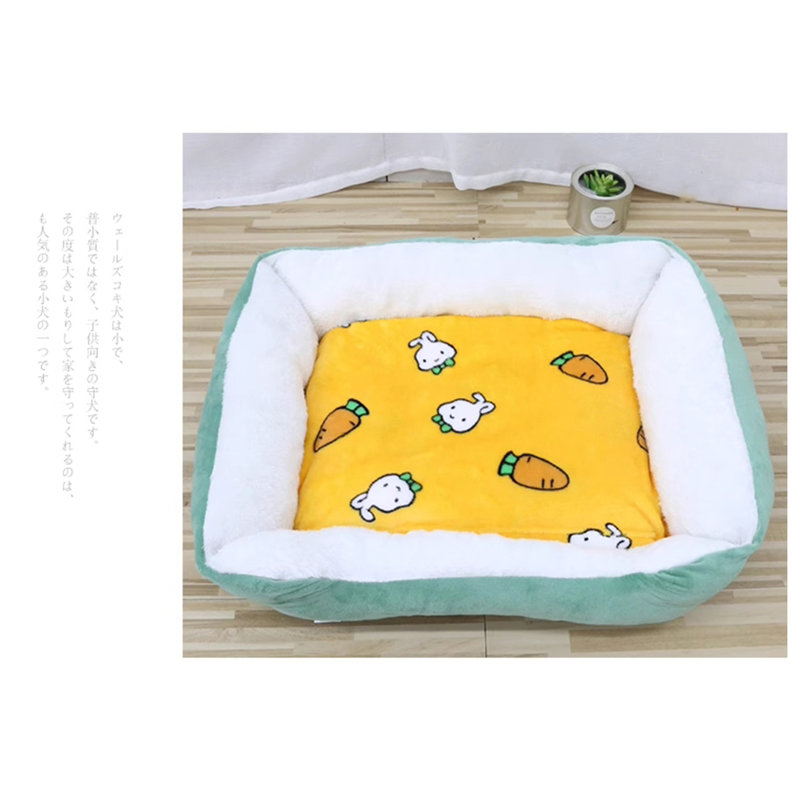 Pet Blanket