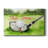 " Tee Off Time III "-1178738339