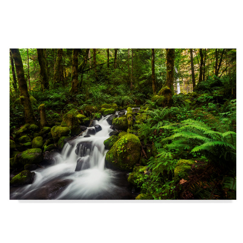 « moment de la nature », reproduction de photo sur toile tendue, H 30 po x l 47 po x P 2 po