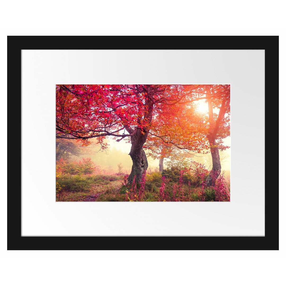 Gerahmtes Poster Traumhafte Herbstlandschaft