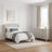 Jolande Contemporary 2 Pieces Bedroom Set-1906028750-1906028738