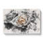 A White Rose - Wrapped Canvas-56665584