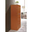 Accent Cabinet-924591141