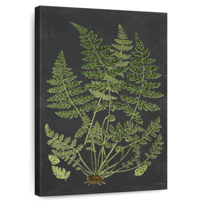 Harnek Fern Study