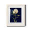 Jolie comme une pivoine - Reproduction de photo encadrée sur papier-721137898-721137899