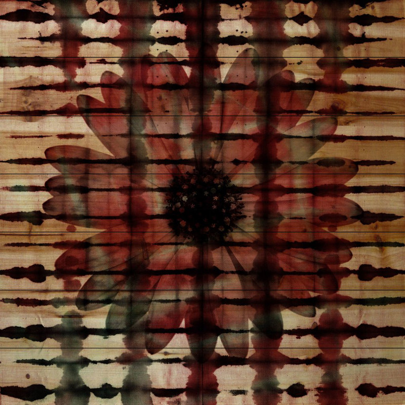 1 Piece Wall Art, 61cm H x 61cm W