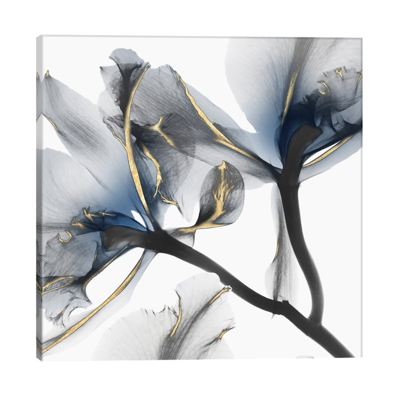 Indigo Luster Cyclamen II by Albert Koetsier - Wrapped Canvas Print, 30.48 cm H x 30.48 cm W, No Frame