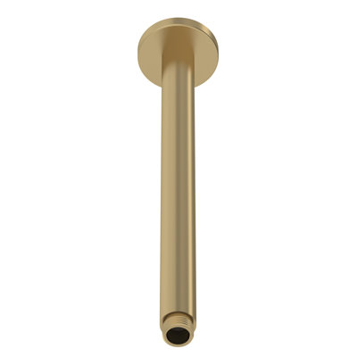 Ceiling-Mounted Arm