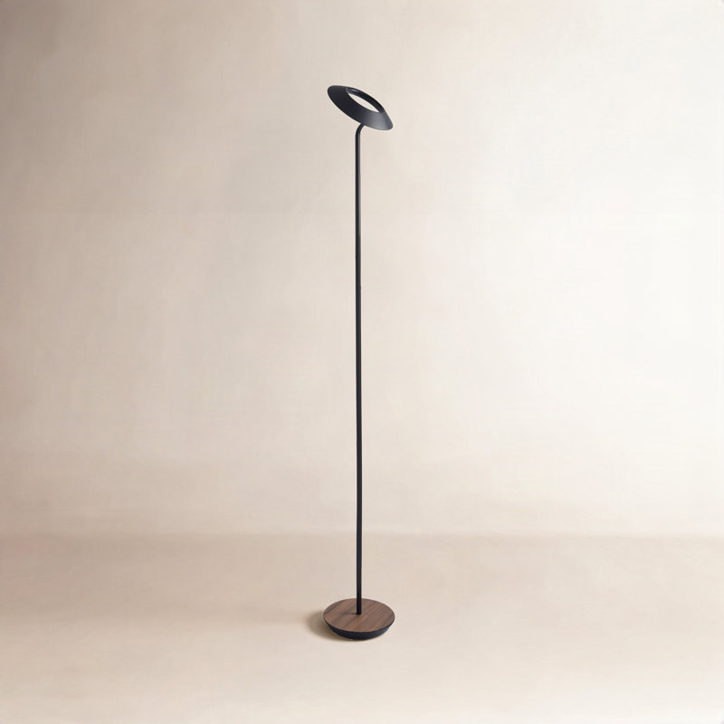 Royyo 45.5'' LED Novelty Floor Lamp, Matte Black/Oiled Walnut