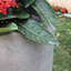 Pot à fleurs en béton Karola-1974299890-1974299900