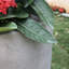 Pot à fleurs en béton Karola-1974299901-1974299890