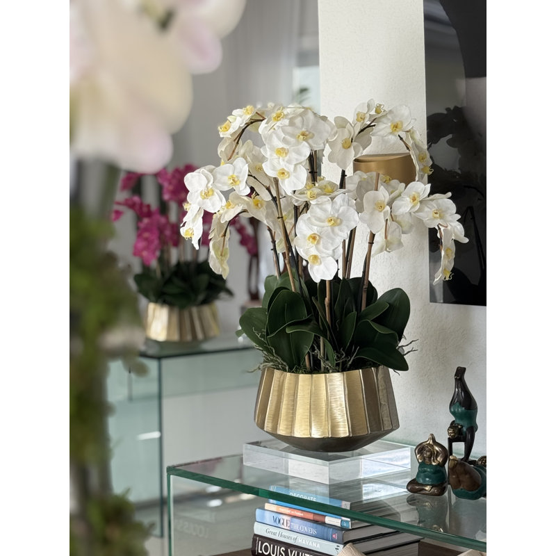 Jardinière Helena avec orchidées phalaopsis, Blanc