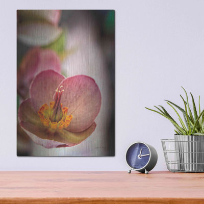 " Lenton Rose III " by Debra Van Swearingen