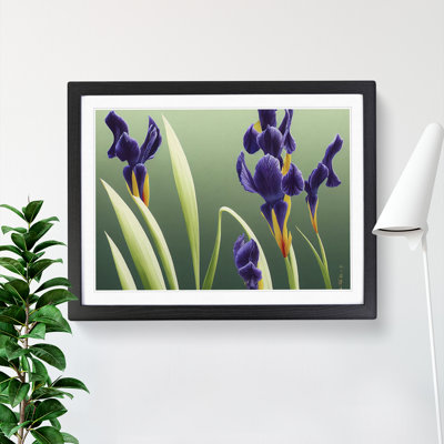 Shimmering Iris Flowers - Framed Print
