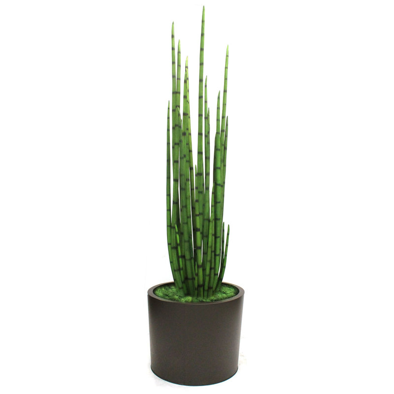 Faux Snake Plant (Sansevieria) Grass in Metal Pot