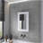 Medicine Cabinet Sanford, Bathroom, White-1172594567