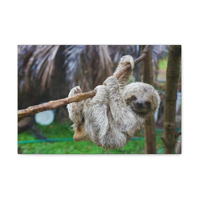 No Frame Print on Canvas