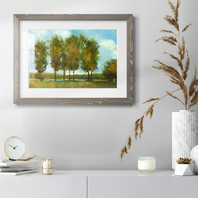 " Tall Trees "