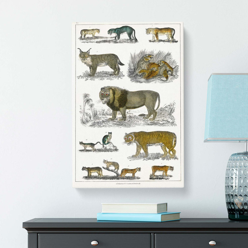 Cats & Big Cats by Oliver Goldsmith - Wrapped Canvas, 60cm H x 40cm W x 3cm D