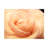 Modern & Contemporary Painting Print-324868067