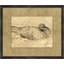Charcoal Animal Collection 10 Print
