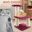 Jeu pour chat 15,7 "Cat Tower Sisal-1016163076