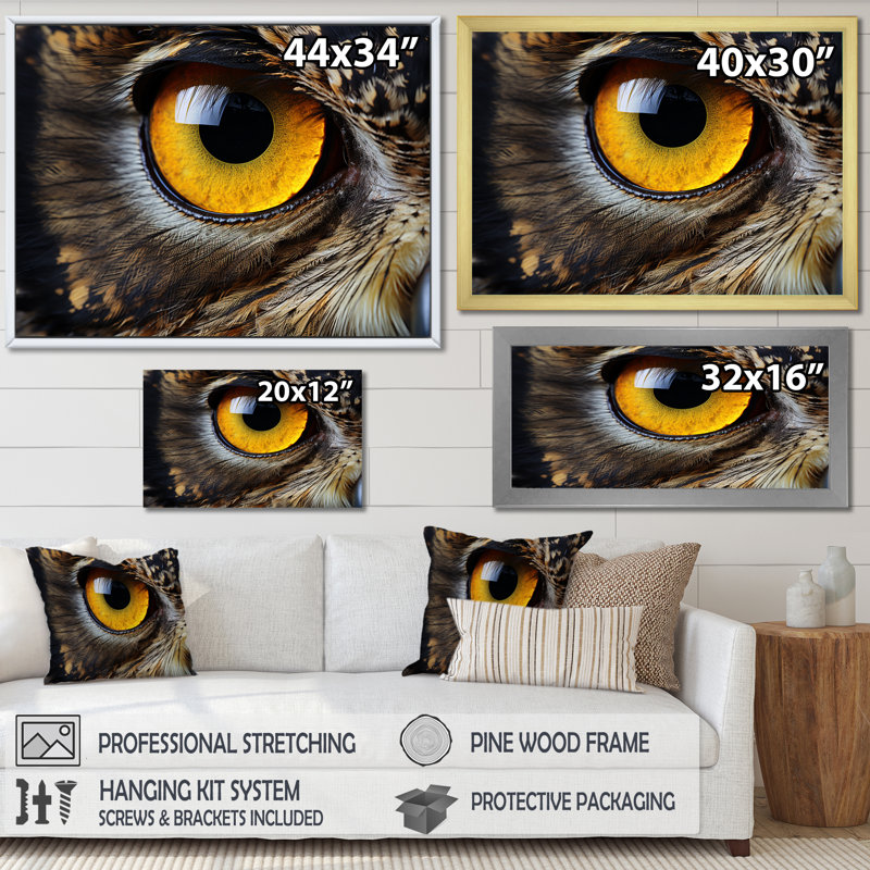 Gros plan sur l'oeil d'une chouette brune sur toile, H 16 po x l 32 po x P 1 po, Toile tendue
