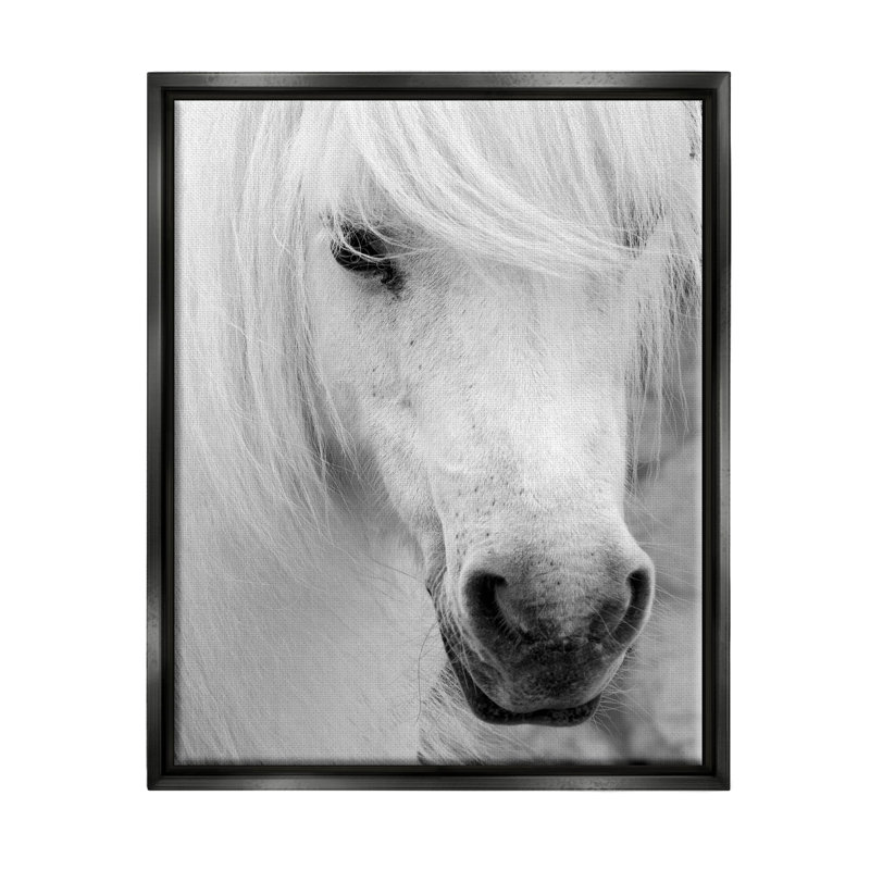 Elegant Horse Stallion - Photographie sur toile à cadre flottant, Cadre flottant noir de jais, H 21 po x l 17 po x P 1,7 po