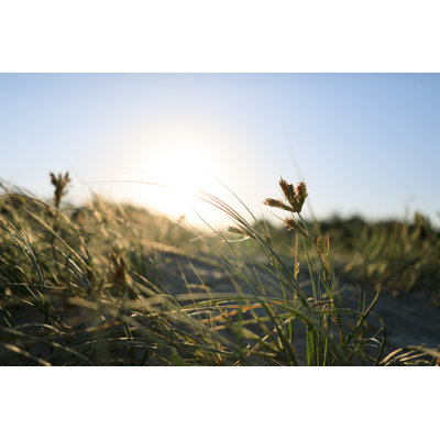 Sunset Over Sand Dunes by Thurtell