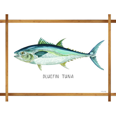 " Bluefin Tuna On White "