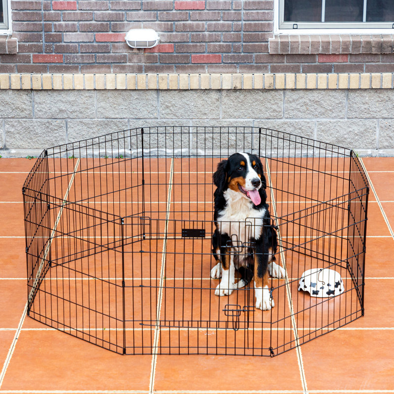 24in Foldable Metal Exercise Pen/pet Playpen