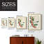 «Turpin Tropical Botanicals», reproduction encadrée en bois massif-1120330705