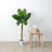 Vasquez 48'' Faux Foliage Tree in Planter