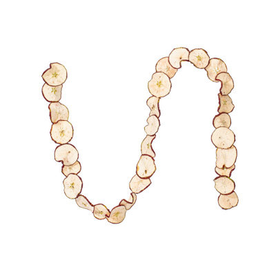 Natural Botanicals 10ft Natural and Dried Sliced Apple Garland.