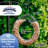 Armstrong Wild Bird Food Peanut Coil Feeder