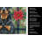 Rottweiler Christmas PoinsettIas Kitchen Towel-2080584127