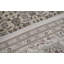 Oriental Area Rug in Ivory
