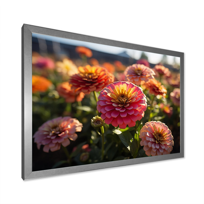 Champ de Zinnias coloré au lever du soleil VI, H 24 po x l 32 po x P 1 po, Argent