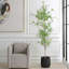 Bouleau Uttermost Boreal