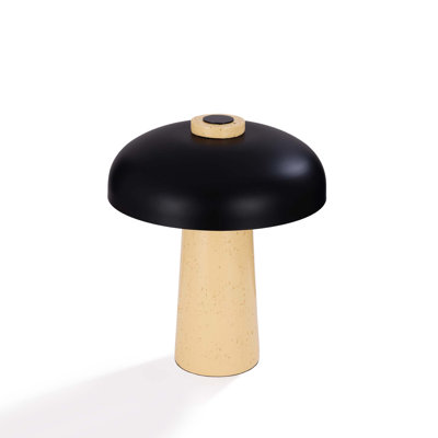 Resin Table Lamp
