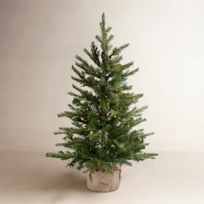 The Holiday Aisle® Nordic Spruce Tree with Clear Lights