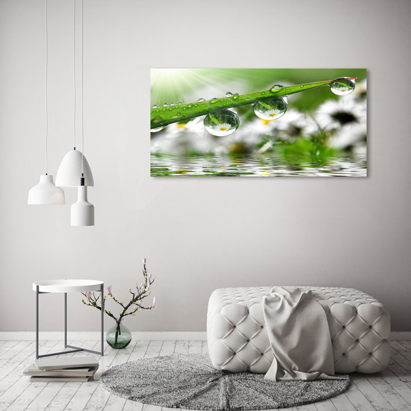 Drops on the Grass 1 Piece Wrapped Canvas Wall Art