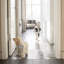 Clear Freestanding Pet Gate with Door 36"w x 30"h-749663428