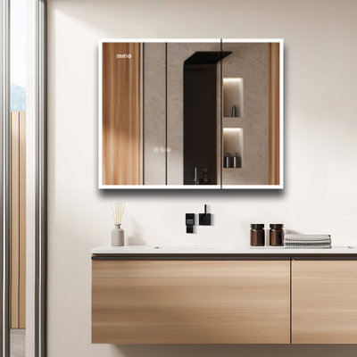 Naci W H Surface Frameless Medicine Cabinet Mirror 2 Fixed