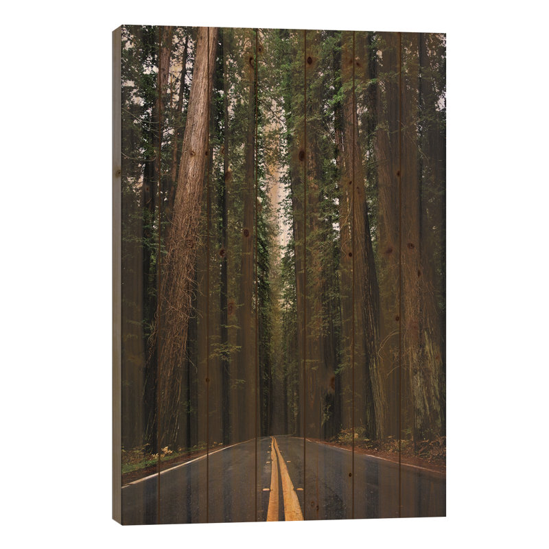 «Alayzah Forest Road, Redwood National Park, California» par Nature Magick - impression sans cadre sur bois